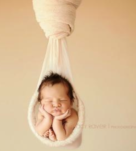 萌娃讲故事《2只猫头鹰》