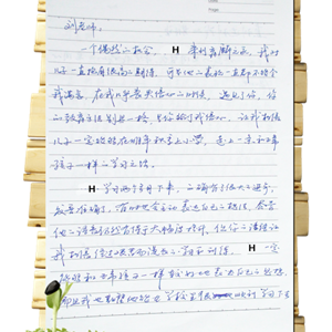 自闭儿H的案例分享